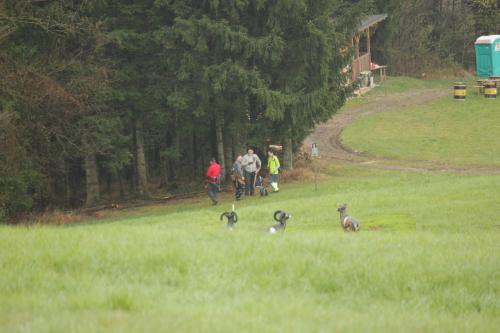 IMG 8636